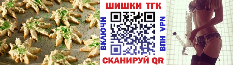 дарк нет наркотические препараты  Светлогорск  Canna-Cookies марихуана  наркошоп 