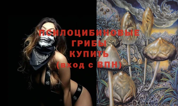 гидропоника Белокуриха