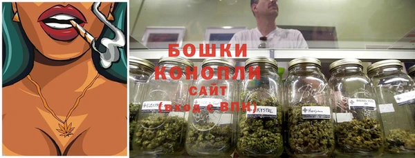 гидропоника Белокуриха