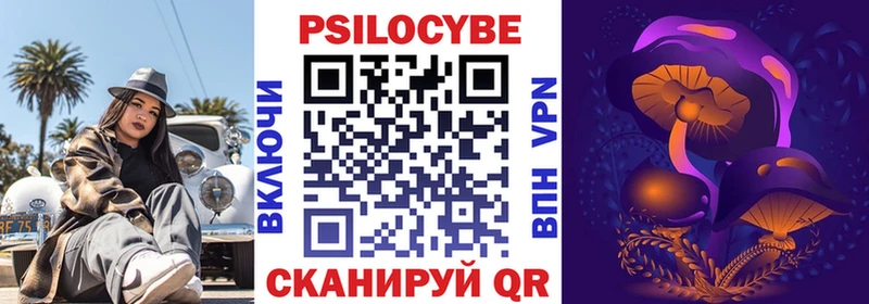 купить наркотики цена  Светлогорск  Псилоцибиновые грибы ЛСД 