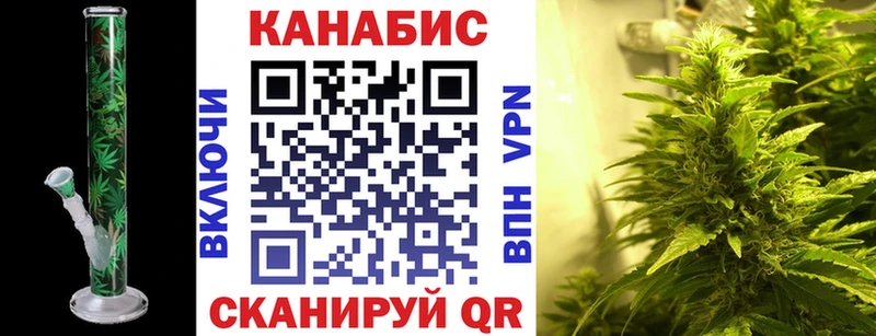 Каннабис сатива Светлогорск